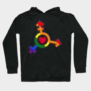 Rainbow Trans Symbol LGBTQ Pride Heart Hoodie